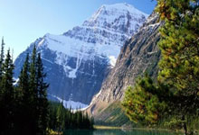 走进小陈武汉品茶经历，探寻平凡上班族的身心放松与事业转折