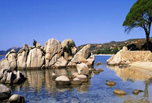 走进小陈武汉品茶经历，探寻平凡上班族的身心放松与事业转折