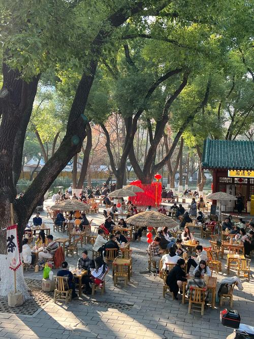 武汉品茶的场子_武汉品茶哪里好_武汉品茶