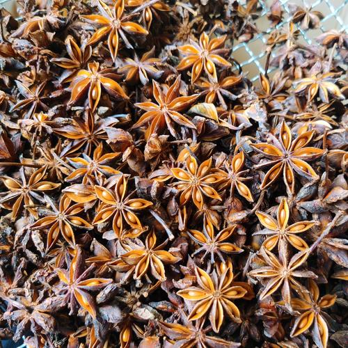 武汉休闲店_武汉休闲sz_武汉休闲什么价格