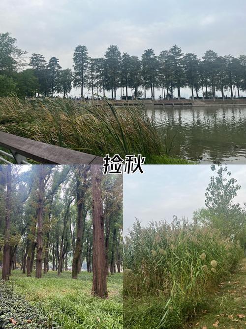 武汉程序员小李忙里偷闲，东湖绿道感受别样悠闲时光