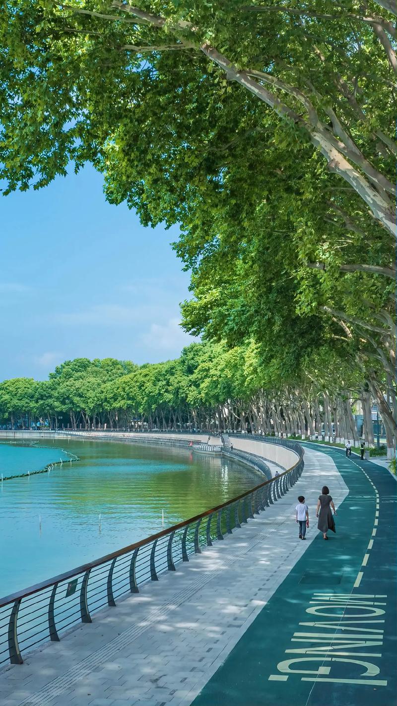 武汉休闲好去处，东湖绿道赏景怡情，畅享宁静舒适时光